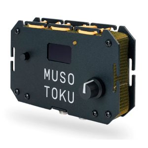TRANSFORMADOR DUAL MUSOTOKU BLACK